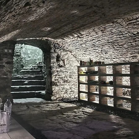 Chateau De Rienne Met Sauna & Hottub & Pooltafel Gedinne